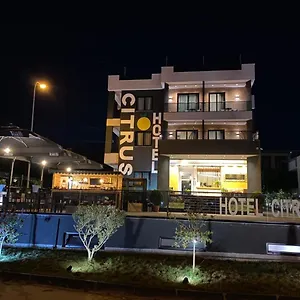 Citrus **** Ksamil